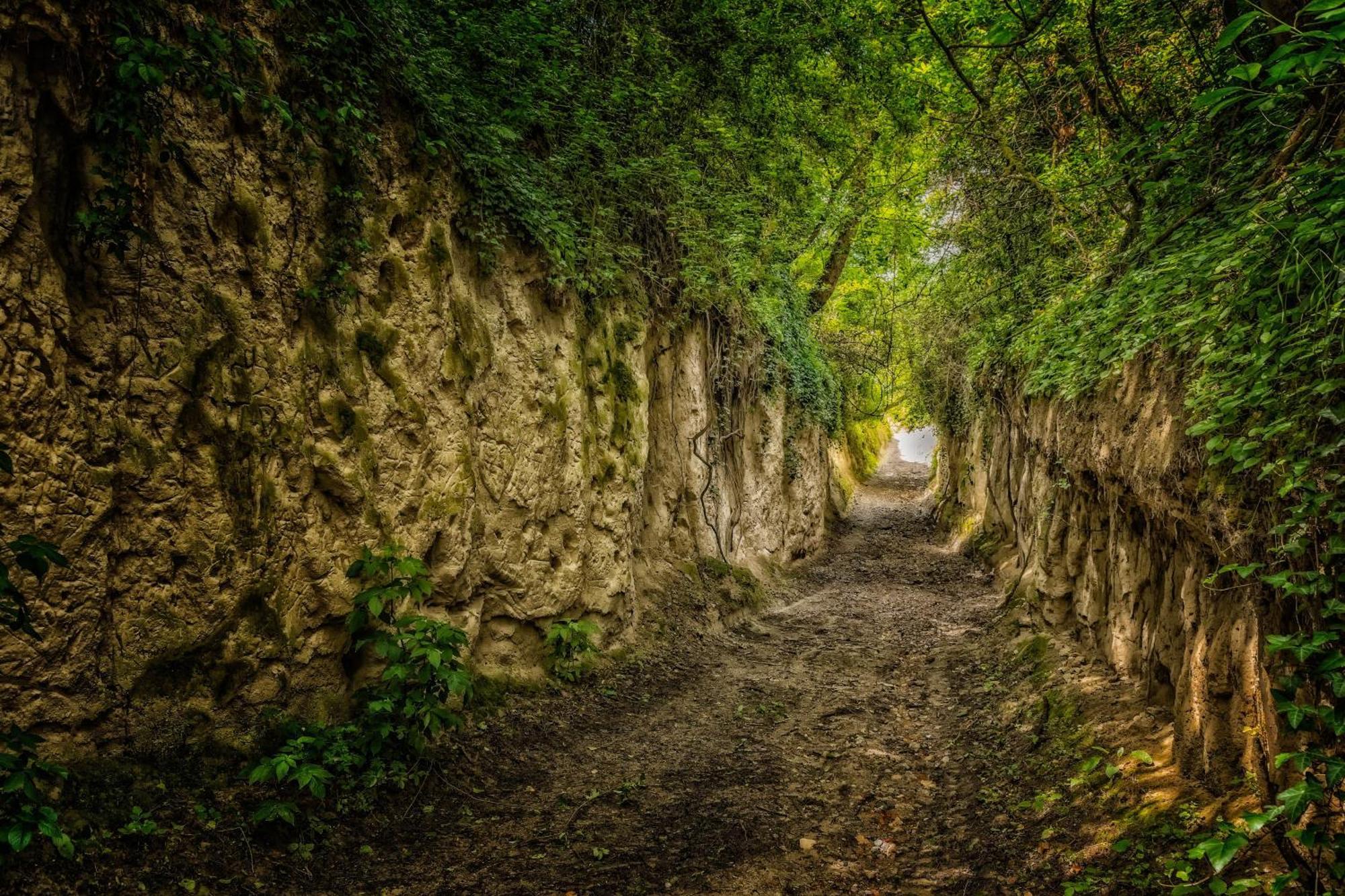 Dreilaendereck Am Kaiserstuhl Wasenweiler エクステリア 写真